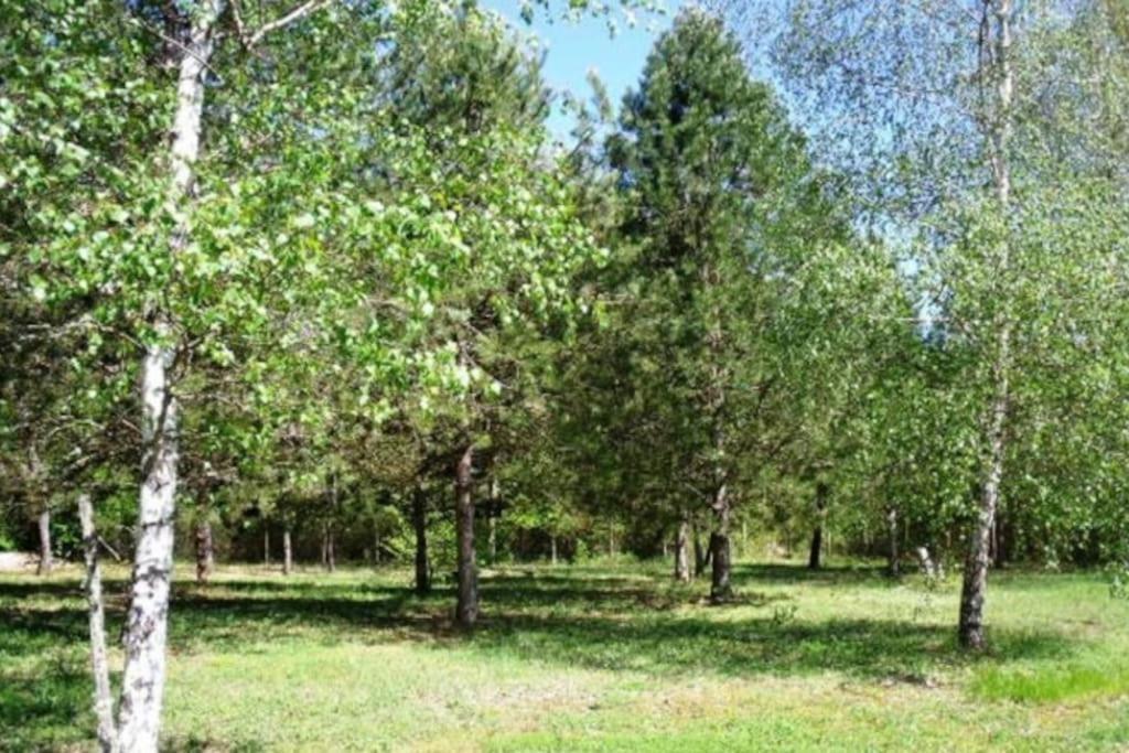 Grande Maison Avec Parc De 6000M2 Pompiey Eksteriør billede
